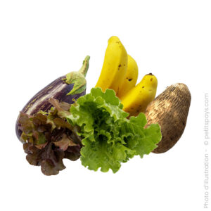 Panier de Fruits et Légumes - Solo