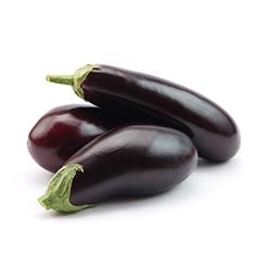 Aubergine